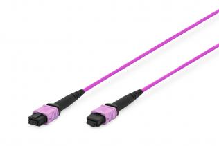 MPO Patch Cables